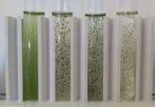 Sustainable fuels to power RAF jets
