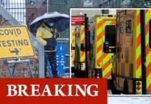 UK Covid cases break record with 55,892 recorded in 24hours – another 964 people have died | UK | News (Reports)