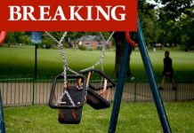 UK coronavirus strain may be more able to infect children – scientists issue warning | UK | News (Reports)