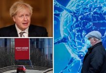 UK lockdown: What is the R Rate, how is it calculated and will there be another lockdown? | UK | News (Reports)