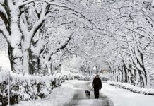 UK weather: Millions of people woke up to fresh blankets of snow and treacherous ice | UK | News (Reports)