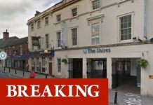 Wiltshire horror as van drives into crowd near shopping centre – many injuries | UK | News (Reports)