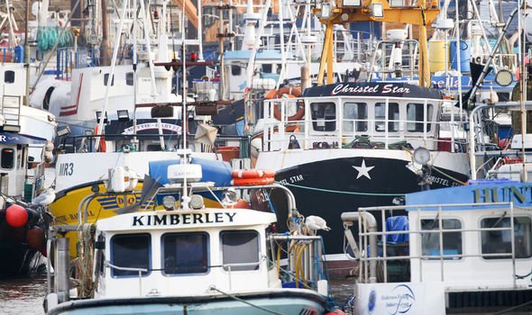 fishing boats fishing boats