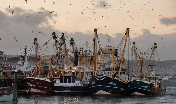 fishing boats fishing boats