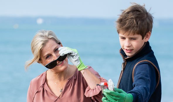 james viscount severn sophie james viscount severn sophie