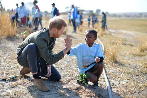 prince harry environment interview waterbear prince charles royal news prince harry environment interview waterbear prince charles royal news