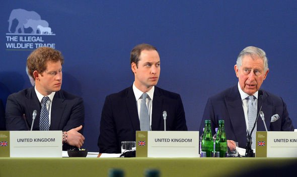 prince harry environment interview waterbear prince charles royal news prince harry environment interview waterbear prince charles royal news