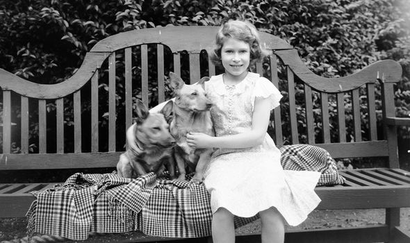 queen elizabeth ii queen elizabeth ii