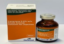 Carprieve 5% w/v Small Animal Solution for Injection – Product defect recall alert