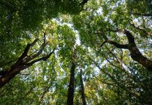 Protecting and enhancing biodiversity at the Northern Arc, Burgess Hill