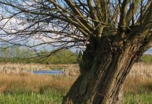 Highways England funds study to help £2.5m rivers scheme become a reality