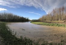 New natural flood management scheme helps protect homes
