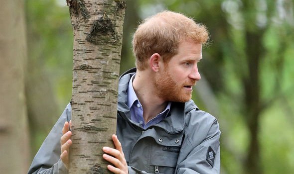 Harry, in particular, has championed action on climate change Harry, in particular, has championed action on climate change