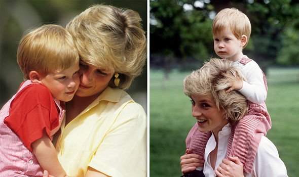 Harry said his mother always aimed to protect him and his brother William, while 