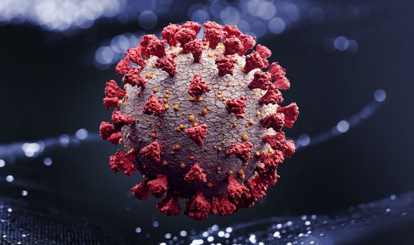 The COVID-19 virus