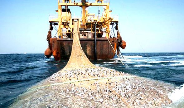 Afrika supertrawler