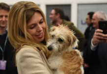 Boris Johnson’s fiancee Carrie Symonds offered new job close to her heart | UK | News (Reports)