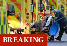 Brazil variant arrives in UK: Worrying new coronavirus strain detected in Britain | UK | News (Reports)
