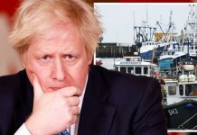 Brexit news: Fishing chief LASHES OUT over chaos with EU | UK | News (Reports)