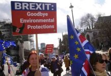 Brexit news: UK europhiles launch #RejoinEU campaign – Lord leads charge | UK | News (Reports)