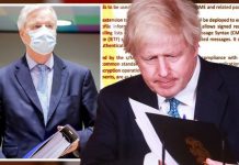 Brexit trade deal ‘copied and pasted’ from EU’s playbook on cross-border cooperation | UK | News (Reports)