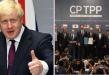 Brexit triumph as accession letter to CPTPP to be sent ‘within months’ | UK | News (Reports)