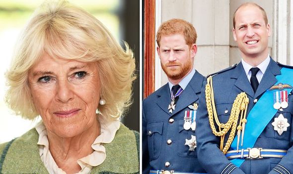 CAMILLA CHARLES PRINCE HARRY WILLIAM ROYAL FAMILY