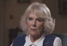 Camilla issues touching call for royal fans to ‘delve’ into new project – ‘enjoy it’ | Royal | News (Reports)