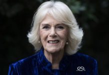 Camilla launches Instagram book club with four titles, including The Mirror and The Light | Royal | News (Reports)