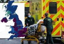 Coronavirus cases MAPPED: Which area has the highest number of Covid cases right now? | UK | News (Reports)