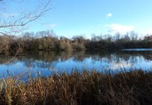 Cotswold Water Park given greater protection by Natural England
