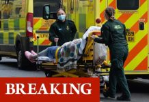 Covid cases latest: UK deaths hit 1,290 as cases up by 37,892 –but more than 5m vaccinated | UK | News (Reports)