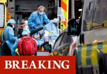 Covid deaths rise by 529 across UK as cases up 46,169 – Spike in under-55s in hospital | UK | News (Reports)
