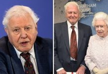 David Attenborough’s heartbreaking letter on Royal Family’s future: ‘It won’t survive’ | Royal | News (Reports)