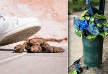 Dog poo plague: UK poo hotspots rise as owners don't clean up – Is your area a hotspot? (Reports)