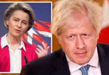 EU news: Denmark ‘sad’ about Brexit as bloc warned Danes ‘share UK’s scepticism’ | UK | News (Reports)