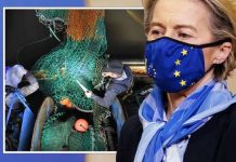 EU on brink as member states fume at Britain’s ‘victory’ in Brexit fishing dispute | UK | News (Reports)