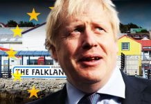 Falklands fury: Argentina’s ‘strong offensive’ to take back Islands already under way | UK | News (Reports)