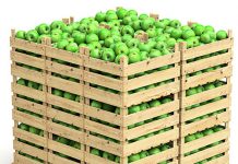 Fresh produce wholesalers excited by waste reduction Fresh produce wholesalers excited by waste reduction