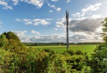 Government reviews law on access to land for digital infrastructure
