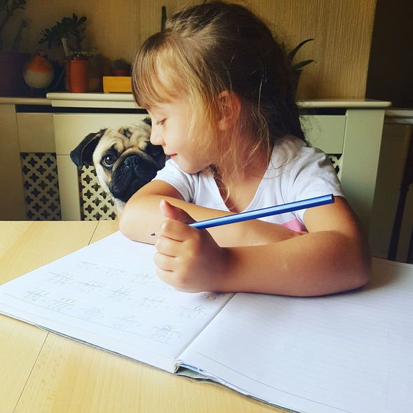 Homeschooling by Fiona Aitken