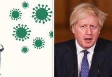 How does coronavirus really spread – Poll’s worrying warning over hand sanitising | UK | News (Reports)