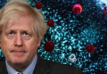 How effective will national lockdowns prove as new Covid variants appear? | UK | News (Reports)