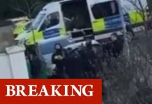 London panic as ‘man with knife’ arrested near children’s nursery – heavy police presence | UK | News (Reports)