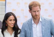 Meghan Markle and Prince Harry hired ex-Palace aids despite ‘vipers’ claim | Royal | News (Reports)