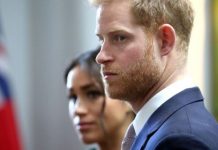 Meghan Markle and Prince Harry’s bid for freedom in tatters: ‘Nothing gone to plan’ | Royal | News (Reports)