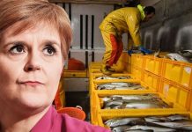 Nicola Sturgeon silenced by Supreme Court: ‘Scotland has no fishing power’ | UK | News (Reports)