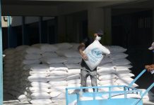 Normalisation should help deliver Israeli-Palestinian peace UNRWA