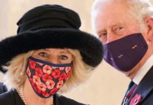 Prince Charles and Camilla: Abuse hitting royals ‘have brief shelf-life’ | Royal | News (Reports)