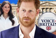 Prince Harry WILL return to royal family without Meghan Markle – poll | Royal | News (Reports)